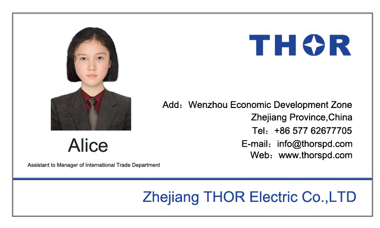Assistant to Manager of International Trade Department Alice Name Card